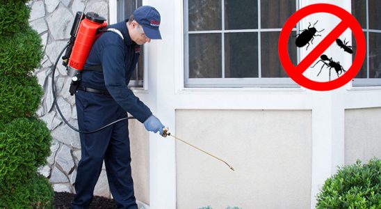 Kavaklıdere Bit İlaçlama böcek ilaçlama ve haşere kontrolü — ilaclama-tr.com